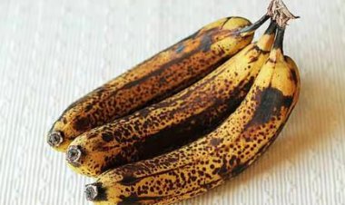 केले के छिलके हो गए काले, तो भी इन्हें घर से ना निकाले, मिलेंगे ये 5 फायदे