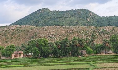 बिहार का अनोखा पहाड़ जो उगलती है मोती और मूंगा ! गांव के लोग चलाते हैं हल तो अक्सर मिल जाती है मोतियां