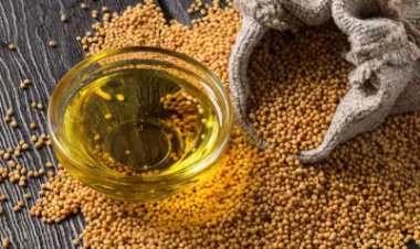 Mustard :चमत्कारी फायदे है सरसों के दाने के, जानकर कहेंगे पहले क्यों नहीं बताया
