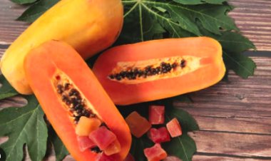 Papaya Benefits: हर दिन अगर पपीता खाया तो शरीर को होंगे इतने सारे फायदे