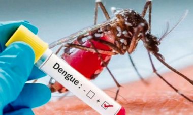 पटना के इन 20 इलाकों में डेंगू फैलाने वाले मच्छर, PMCH और NMCH में भी मिला लार्वा