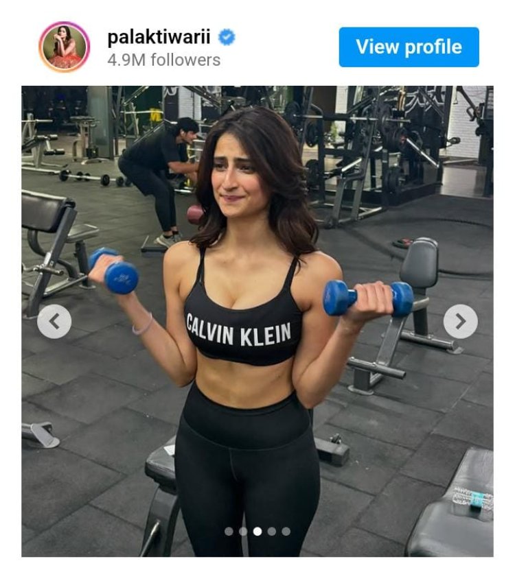 पलक तिवारी ने शेयर की वर्कआउट फोटोज, सोशल मीडिया पर ट्रोलर्स ने लगाई क्लास!