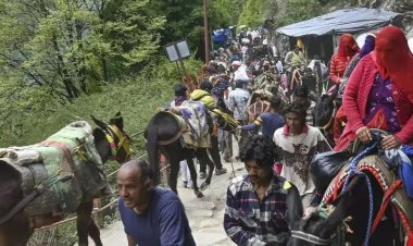 केदारनाथ यात्रा: बीमार घोड़े-खच्चरों को 50% सब्सिडी पर मिलेगा चारा