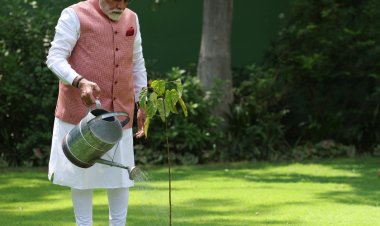 विश्व पर्यावरण दिवस: पीएम मोदी ने लगाया ‘सिंदूर’ का पौधा, 1971 की बहादुर महिलाओं को किया याद