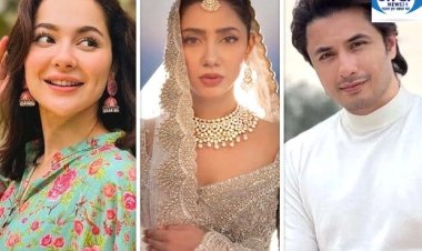 पाकिस्तानी Celebs के Social Media अकाउंट्स पर दोबारा बैन! जानें क्या है वजह?