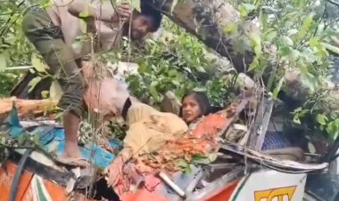 बाराबंकी में दर्दनाक हादसा: चलती रोडवेज बस पर गिरा विशाल पेड़, ड्राइवर समेत 5 की मौत