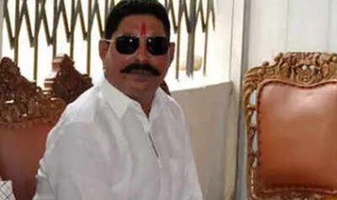 अनंत सिंह ने की नीतीश कुमार से मुलाकात,  तेजस्वी यादव का तंज– 'ये सिर्फ AK-47 की भाषा समझते हैं'