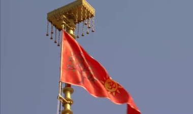 राम मंदिर के शिखर पर धर्म ध्वज फहरते ही पाकिस्तान बौखलाया, भारत पर लगाए बेबुनियाद आरोप