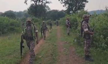 छत्तीसगढ़ में नक्सलियों पर करारा वार: बीजापुर और सुकमा में 14 ढेर, मुठभेड़ से कांपा रेड कॉरिडोर